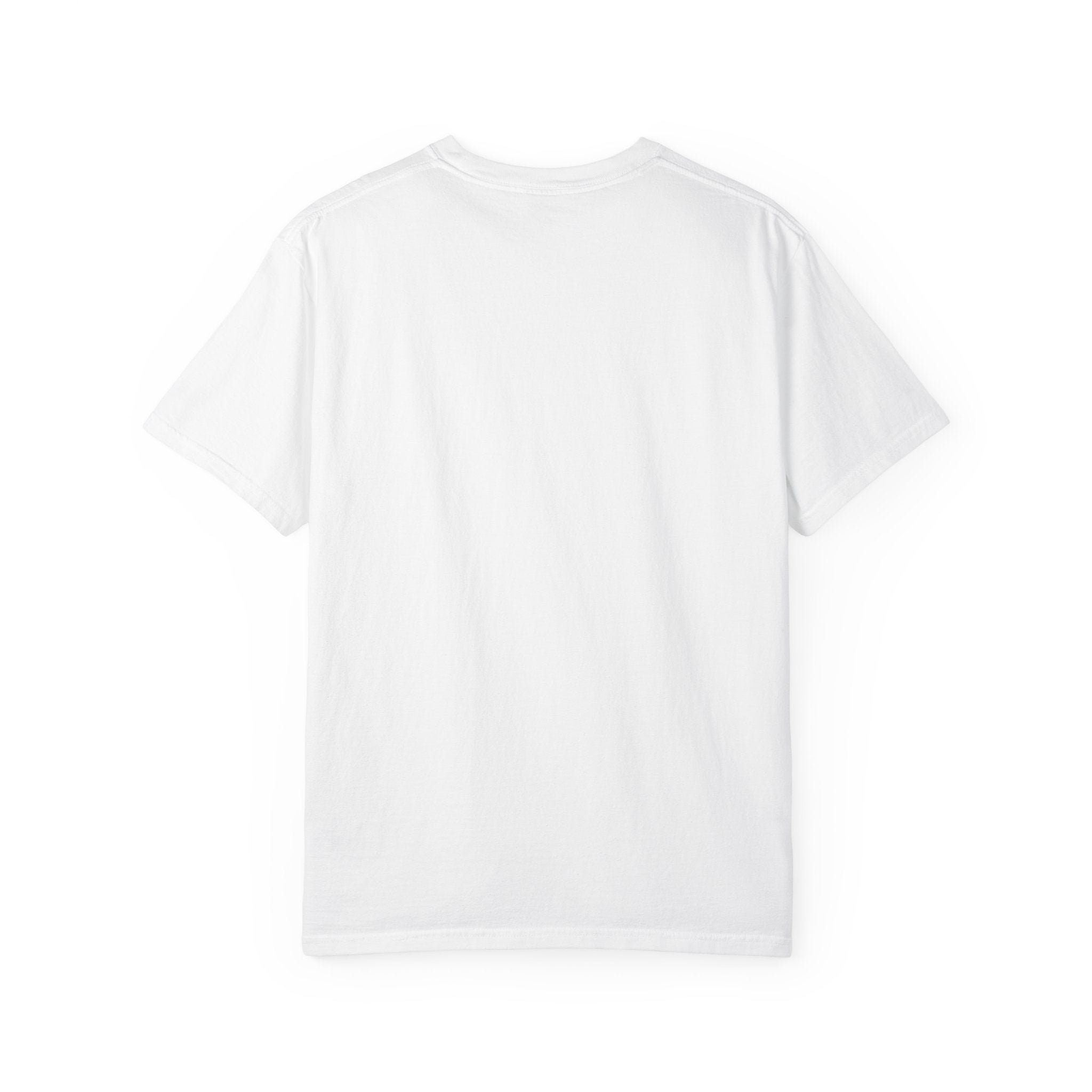 Tailwheel Cowboy Plane T-Shirt — Star Valley Wyoming Aviation Tee