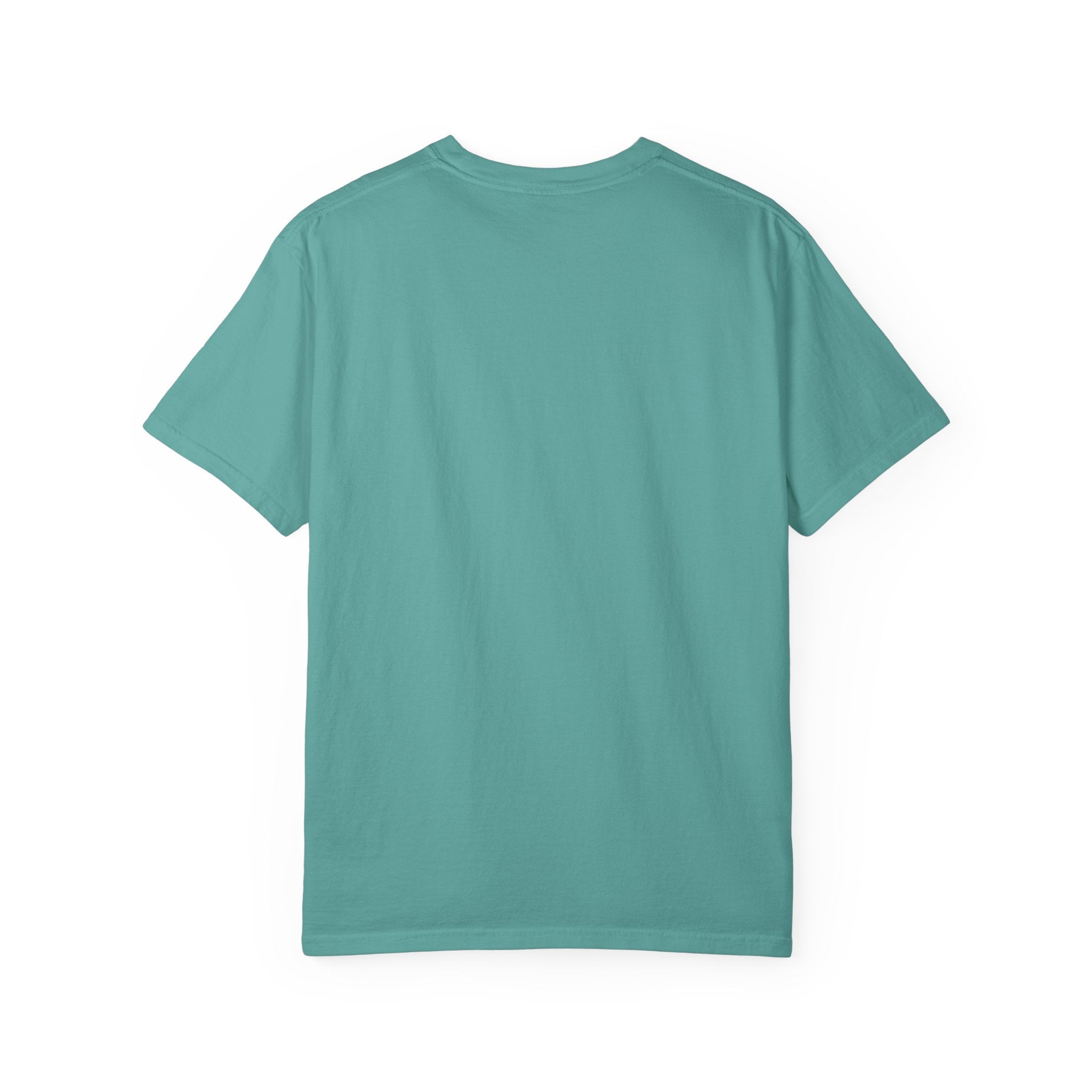 Tailwheel Cowboy Plane T-Shirt — Star Valley Wyoming Aviation Tee