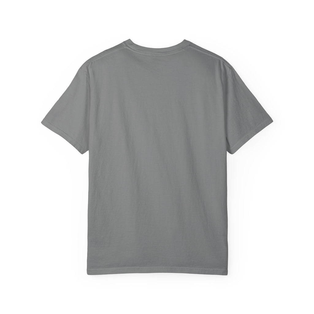 Tailwheel Cowboy Plane T-Shirt — Star Valley Wyoming Aviation Tee