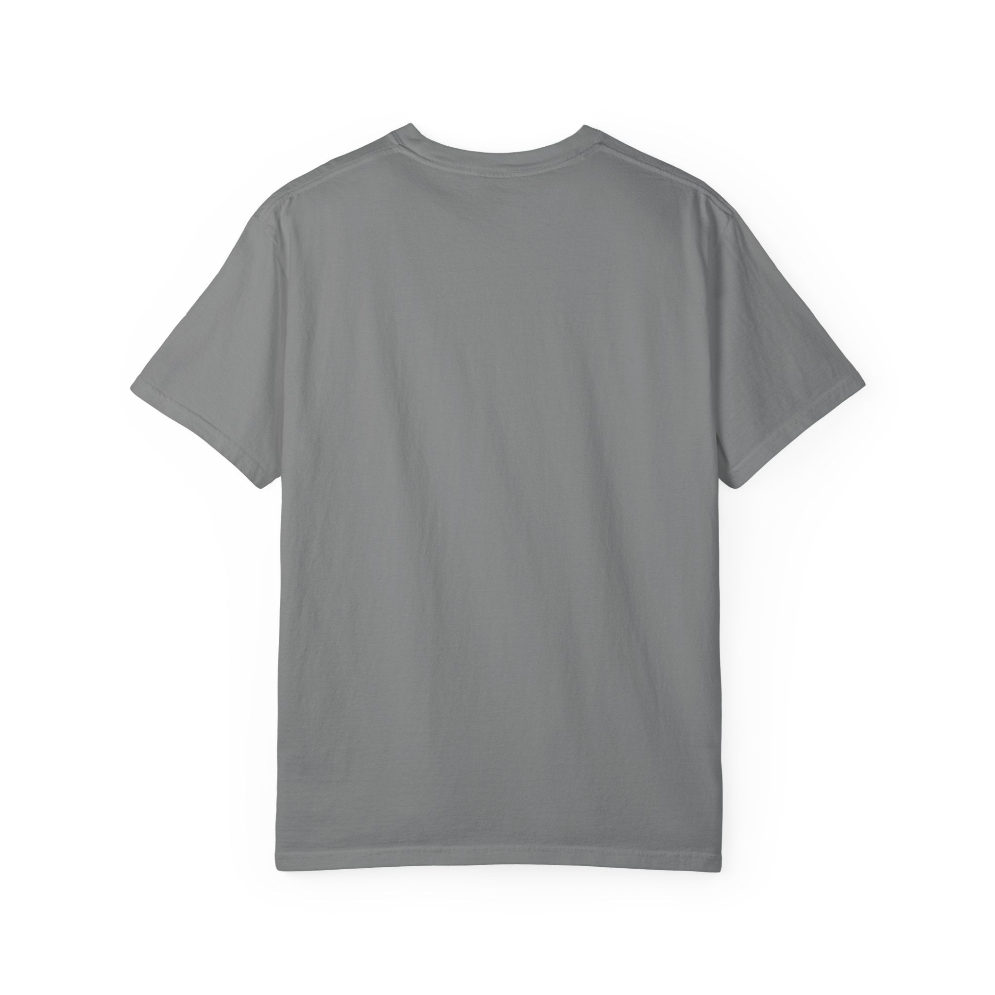 Tailwheel Cowboy Plane T-Shirt — Star Valley Wyoming Aviation Tee